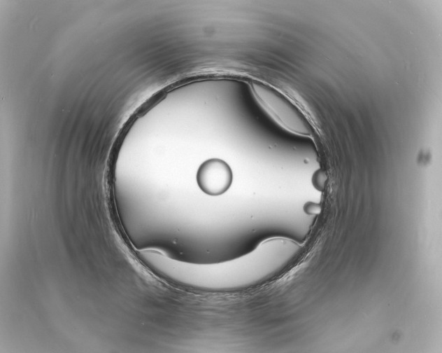 X0000093600893200710291141