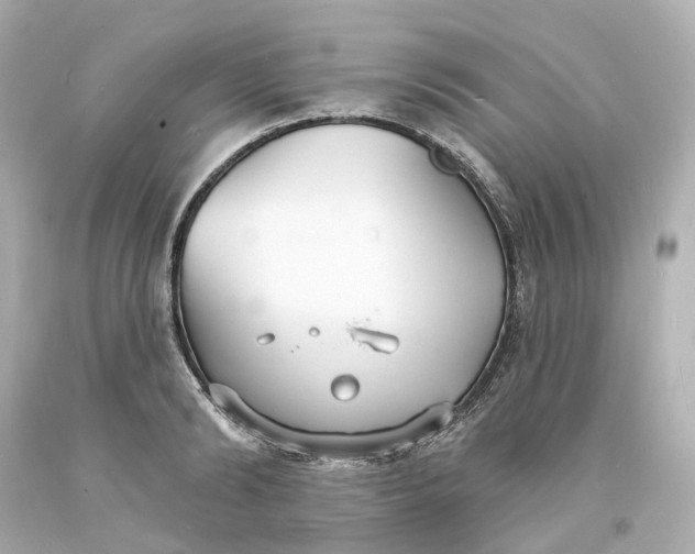 X0000093600894200710291141