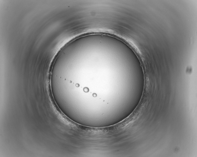 X0000093600895200710291141