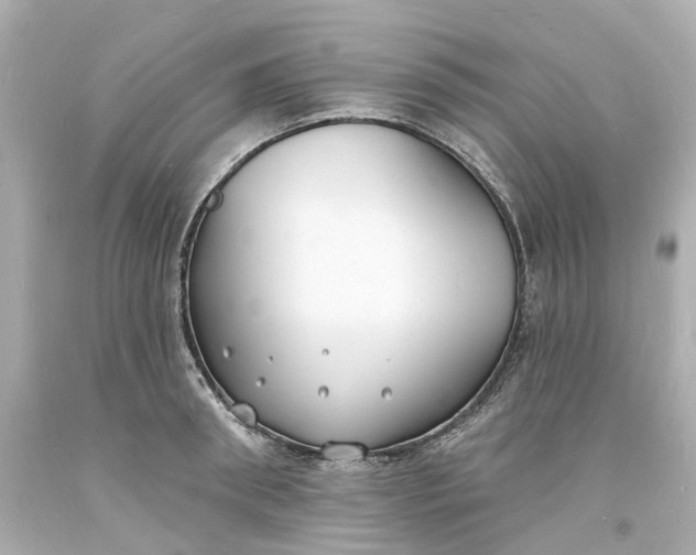 X0000093600898200710291141