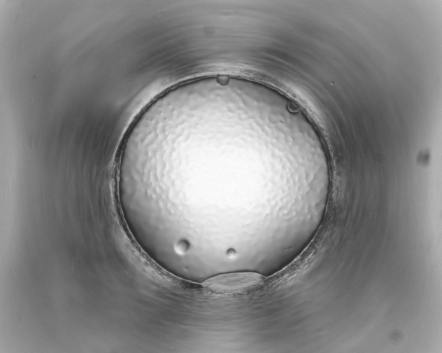 X0000093600899200710291141