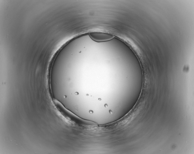 X0000093600902200710291141