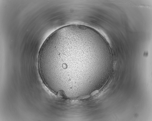 X0000093600903200710291141