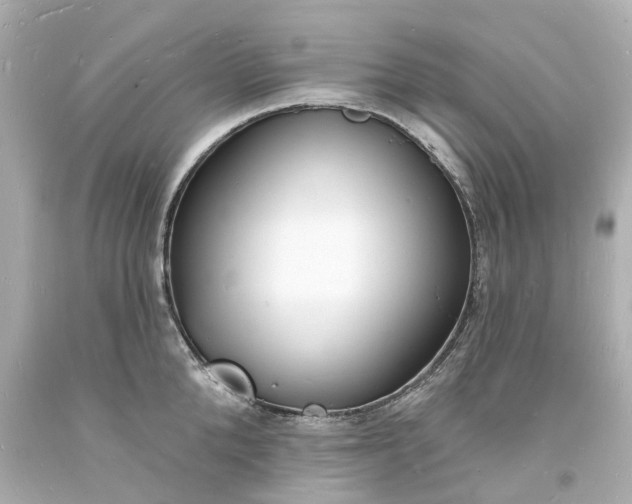 X0000093600904200710291141