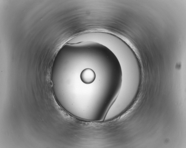 X0000093600905200710291141