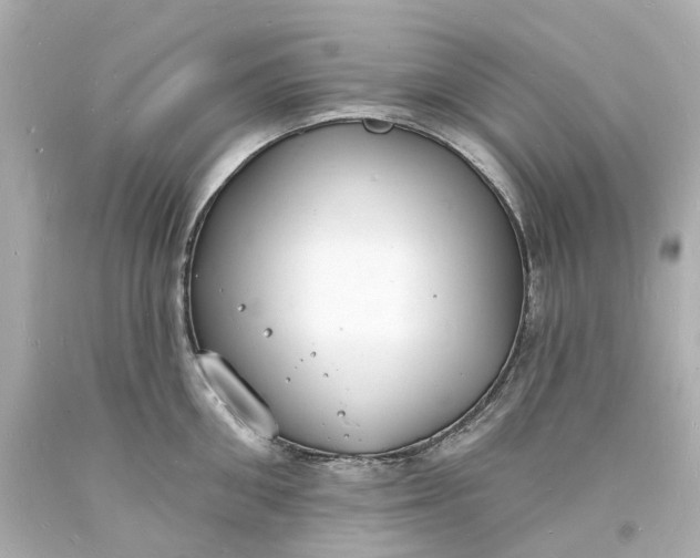 X0000093600906200710291141