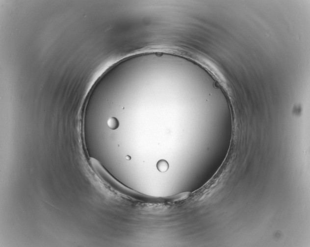 X0000093600907200710291141