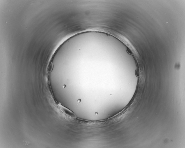 X0000093600908200710291141