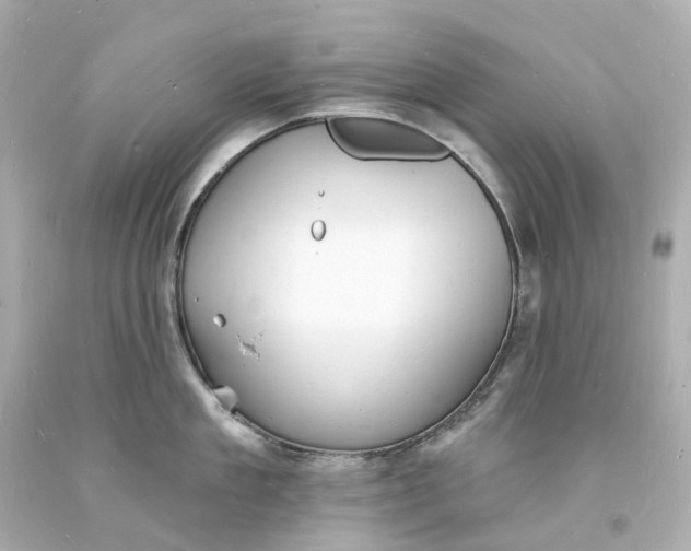 X0000093600909200710291141