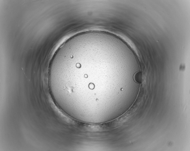 X0000093600911200710291141