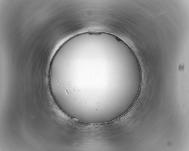 X0000093600912200710291141