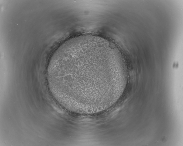 X0000093600913200710291140