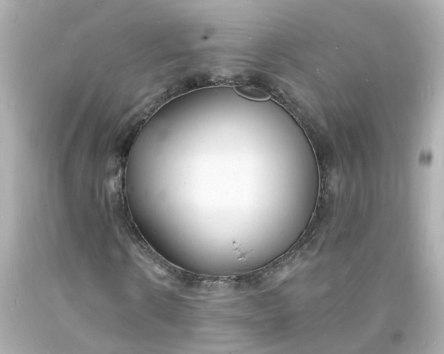 X0000093600914200710291140