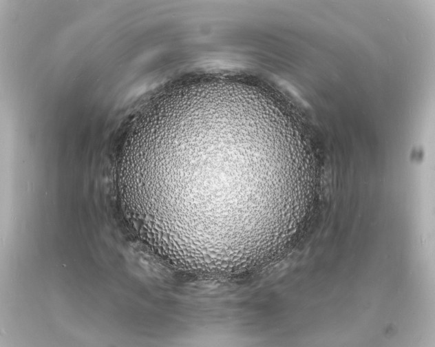 X0000093600917200710291141