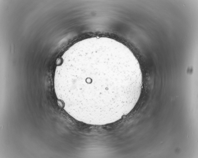 X0000093600918200710291141