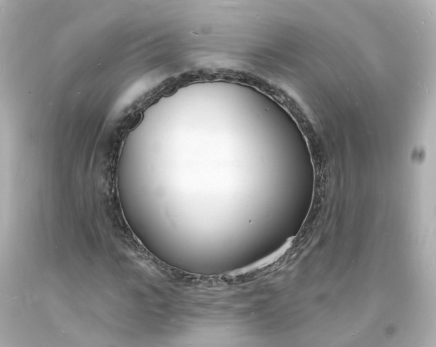 X0000093600919200710291141