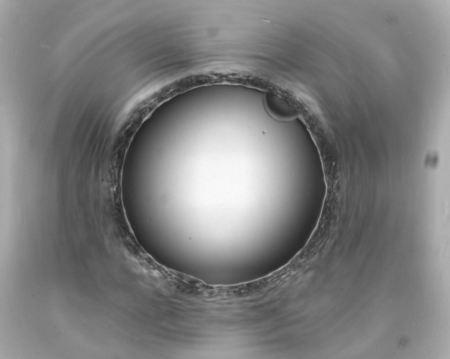 X0000093600920200710291141