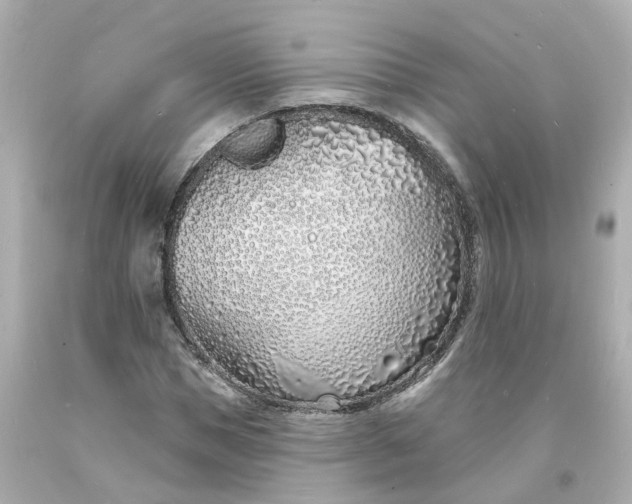 X0000093600921200710291141