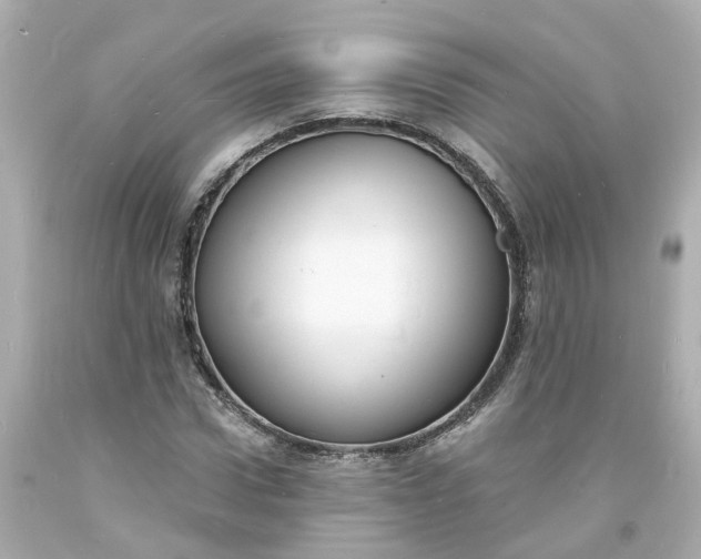 X0000093600922200710291141