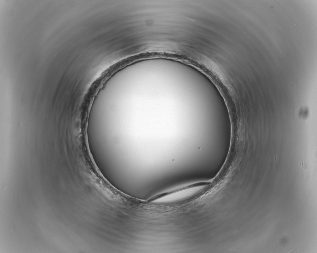 X0000093600923200710291141