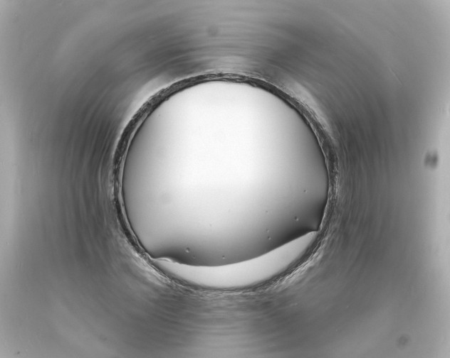 X0000093600924200710291141