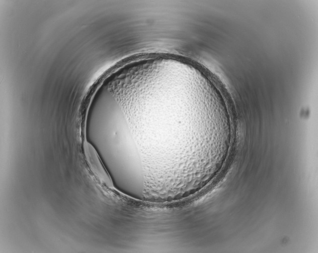 X0000093600925200710291141