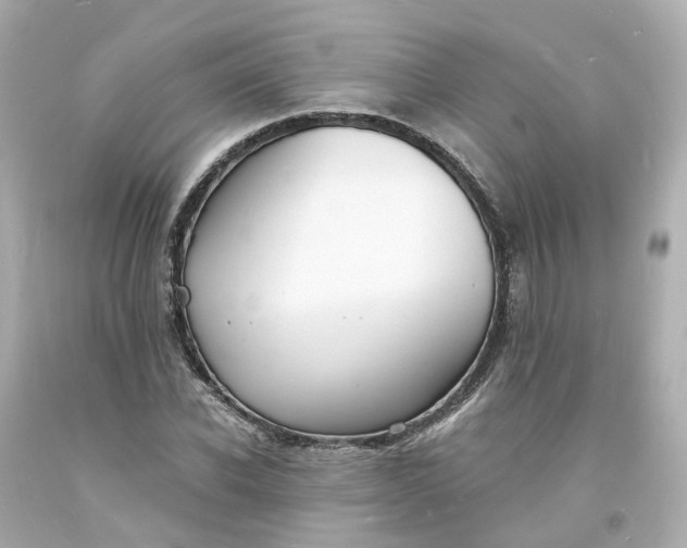 X0000093600926200710291141