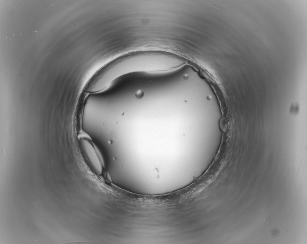 X0000093600928200710291141