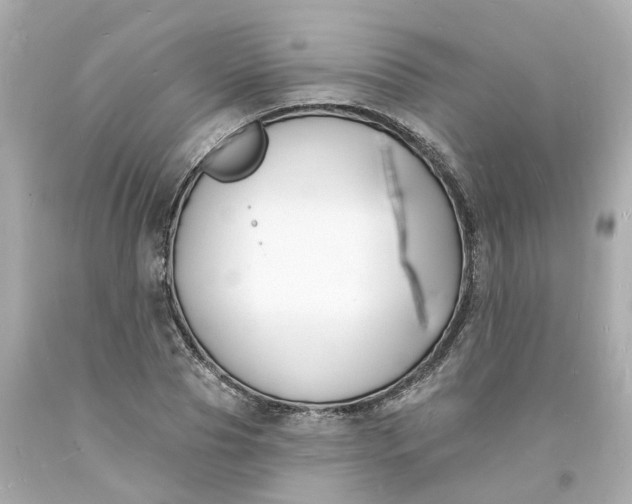 X0000093600929200710291141