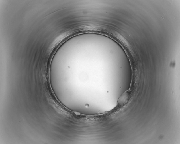 X0000093600930200710291141