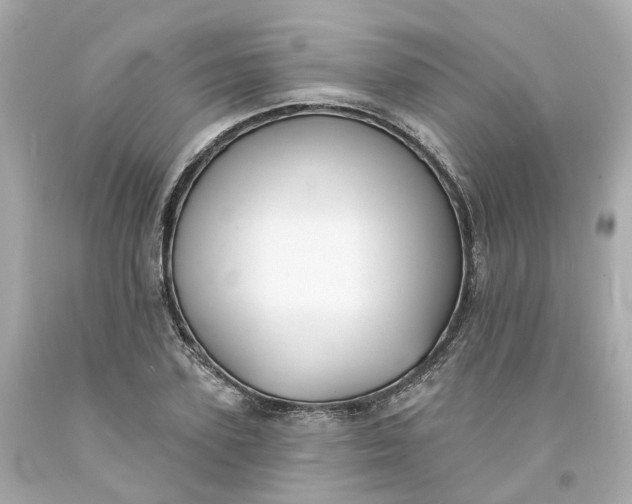 X0000093600931200710291141