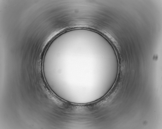 X0000093600933200710291141