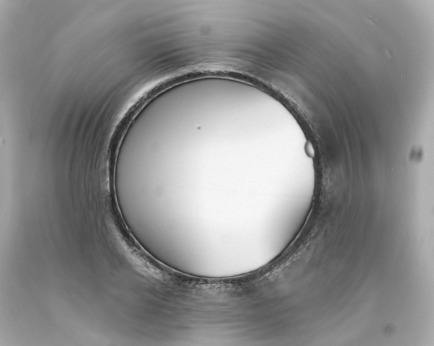 X0000093600934200710291141