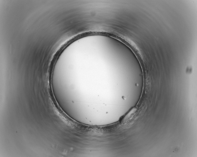 X0000093600935200710291141