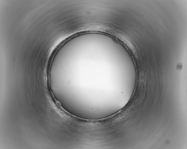 X0000093600936200710291141