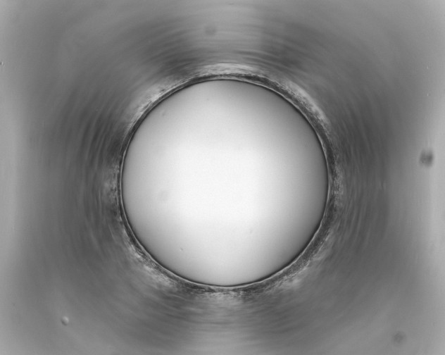 X0000093600937200710291141