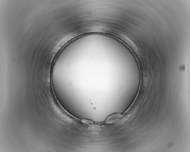 X0000093600938200710291141