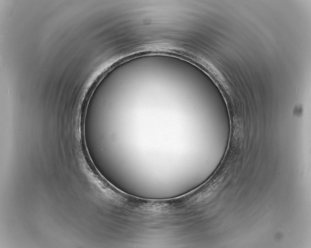 X0000093600939200710291141