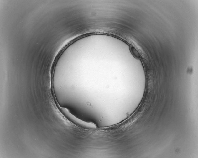 X0000093600940200710291141