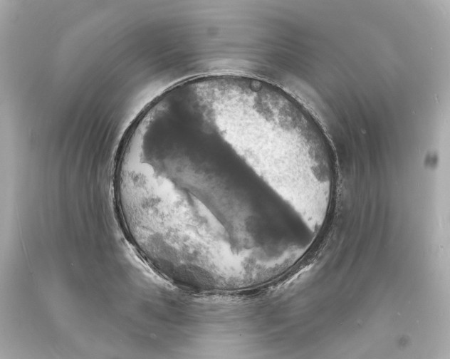 X0000093600941200710291141