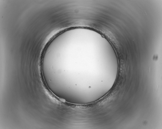 X0000093600942200710291141