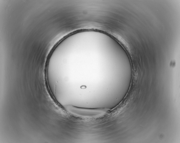 X0000093600943200710291141