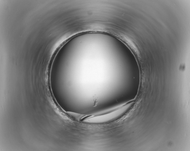 X0000093600944200710291141