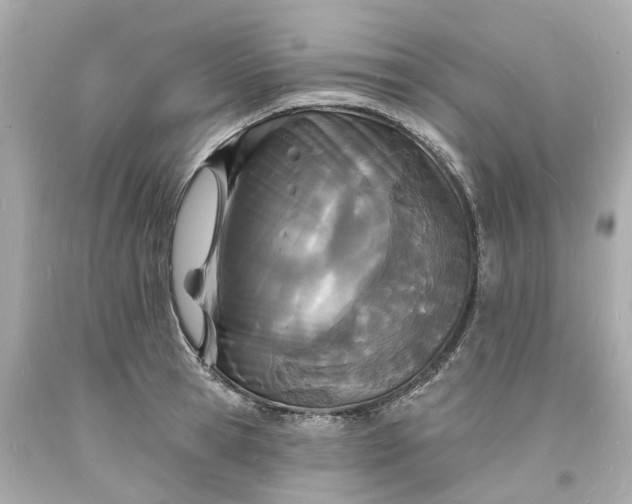 X0000093600945200710291141