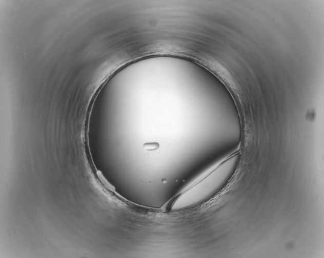 X0000093600946200710291141