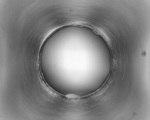 X0000093600948200710291141