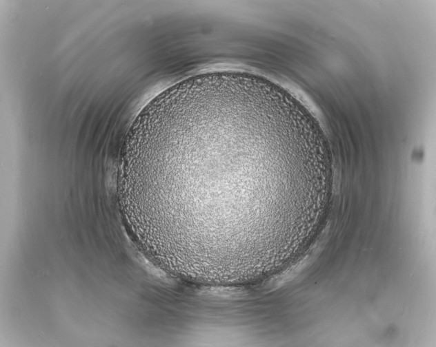 X0000093600953200710291141