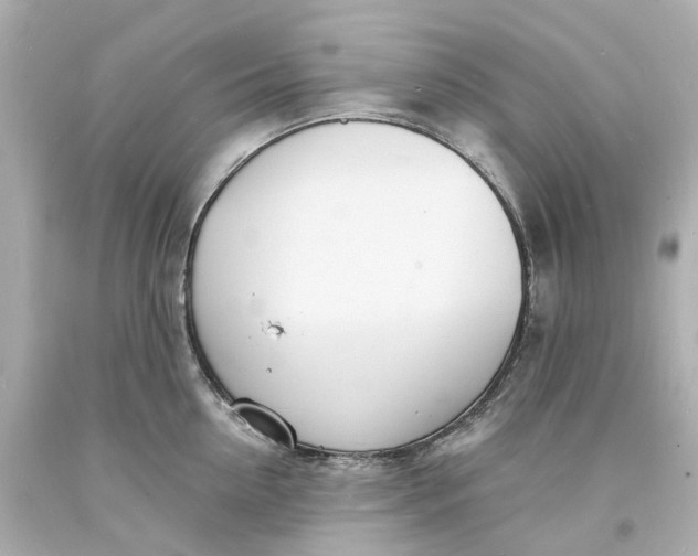 X0000093600954200710291141