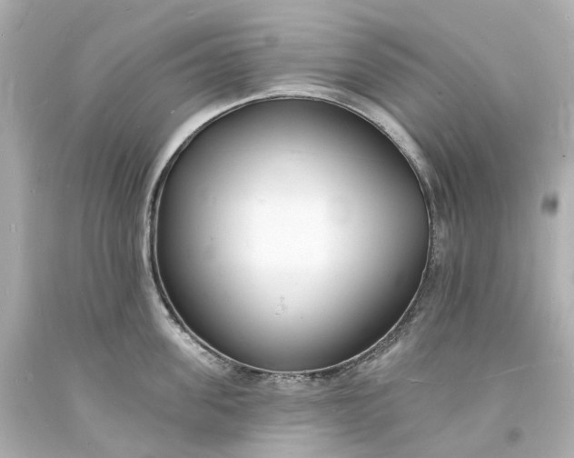 X0000093600955200710291141