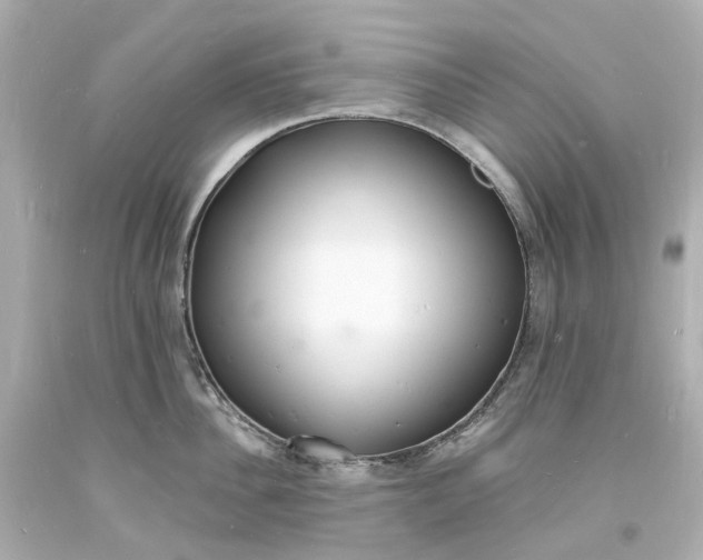 X0000093600956200710291141